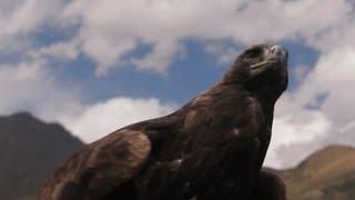 Kyrgyzstan's Golden Eagle Hunters