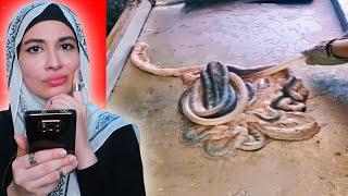 اغرب فديوهات بتبعتها البنات لبعض!