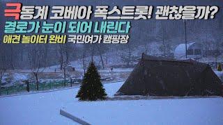 Korean Family Camping. A Long Journey to Find White Christmas. Dog Camping