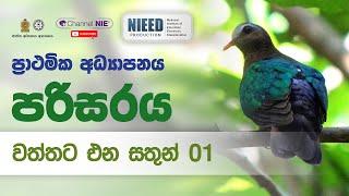 වත්තට එන සතුන් 01 - 05 ශ්‍රේණිය- (පරිසරය)