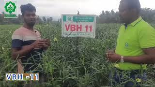 VNR okra Farmer Feedback #vnr