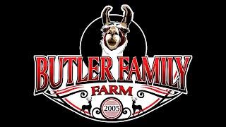 Butler family farm intro #farmliving #subscribe #us #animals #grass #life #woodworking #blacksmith