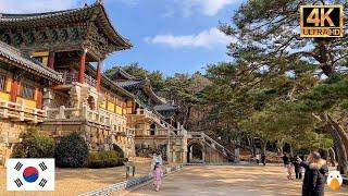 Bulguksa Temple, Gyeongju, Korea The Most Most Beautiful Temple in Korea (4K HDR)