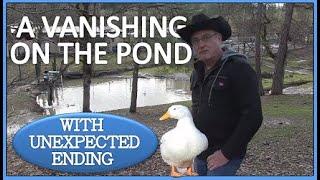 A VANISHING ON THE POND - With Unexpected Ending