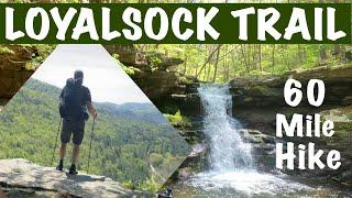 Backpacking the Loyalsock Trail from end to end.