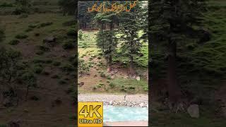 Beautiful Swat Valley To Kalam Motorcycle Vlog | The Switzerland Of Pakistan, SWAT KALAM Valley