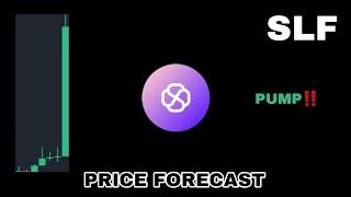 SLF COIN PUMP POTENTIAL IN 2024‼️ SELF CHAIN PRICE FORECAST‼️ SLF CRYPTO PREPARE FOR MASSIVE GAINS