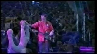 Super Furry Animals - Some Things Come From Nothing (Glastonbury 1999)