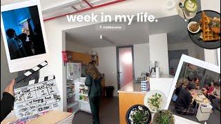 vlog • shooting a film, making dumplings, and shopping around melbourne