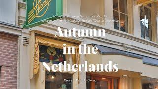 Netherlands vlog / Home decoration for winter, Buying a plant🪴, museum, The last week of October