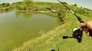 Pecanje štuke na ribnjaku - Pike Fishing in Pond