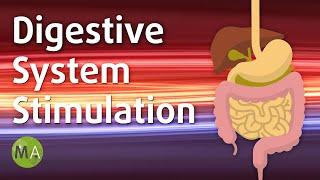 Digestive System Stimulation with Isochronic Tones, Stimulate Digestion