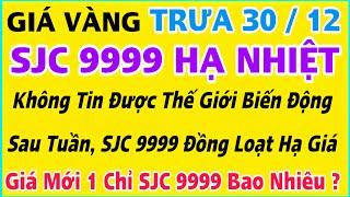 Giá vàng hôm nay 9999 ngày 30/12/2024 | GIÁ VÀNG MỚI NHẤT || Xem bảng giá vàng SJC 9999 24K 18K 10K