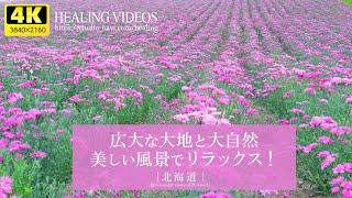 [Healing] Spectacular views of Japan! "Hokkaido" Vast land, nature, and gentle piano BGM