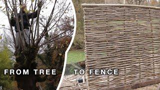 From Tree to Fence - Crafting a Wattle Hurdle Start to Finish