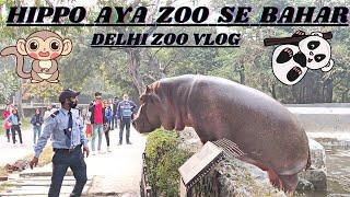 Delhi Zoo Vlog II Hippo aya apne ghar se bahar II Delhi zoo tour II Delhi zoo all animals