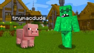 Hide and Seek as Mobs in Minecraft