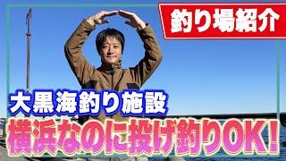 【大黒海釣り施設】横浜市で投げ釣りが許されている数少ない釣り場！サビキや泳がせ釣りに最適