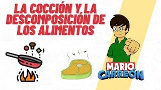 La Cocción y la Descomposición de los Alimentos