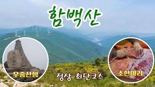 함백산 정상 최단코스 산행  | 만항재 | 야생화단지 공원 | 운탄고도 | 사북읍 맛집 소잡는날