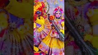 ye vrindavan hai pyara #viralshort #love #hindugod #trendingvideo #vrindavandham #radheradhe 