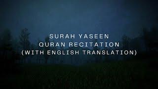 Surah Yaseen Quran Recitation with English Translation | NO ADS