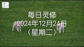 每日灵修2024年12月24日（星期二）希伯来书12章1节  (English translation in description box)