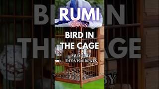 RUMI Bird in the Cage #rumistories #letgo #shorts