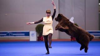 Танцы с собаками "Евразия 2014". Dog Dancing. Canine Freestyle.