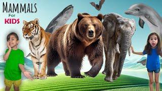 Educational Animal Video For Kids | Learning Land, Sea, and Sky Mammals | Atrin & Soren's Adventure