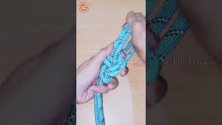 How to tie knots rope diy idea for you #diy #viral #shorts ep2163