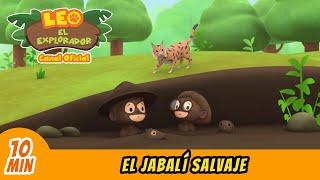 El Jabalí Salvaje  (Español) - Leo, El Explorador Episodio | Animación - Familia - Niños