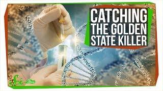 How DNA Analysis Led Police to the Golden State Killer