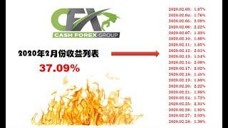 CashFX 2月份整体收益情况总结及后台页面展示 | 2020年我的被动收入passive income（CashFX Group）