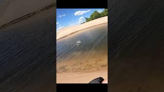 You Never Know What BIG BAITS Will Catch...