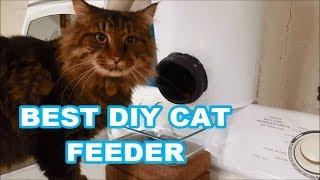 DIY CAT FOOD DISPENSER Best automatic feeder built to LAST