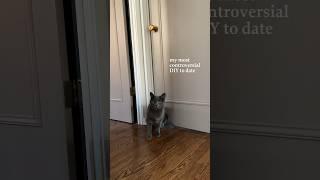 Installing this Kitty Korner has been a game changer 