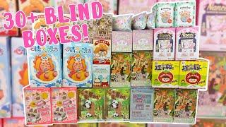 LET'S OPEN 30+ BLIND BOXES FROM KIKAGOODS! POP MART, Rolife Nanci, 52TOYS, Plushies and More! MMM