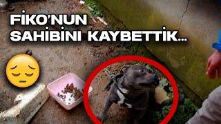 FİKO'NUN SAHİBİNİ KAYBETTİK! (acı haber)