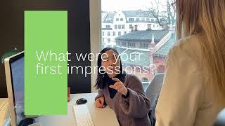 Life at Greenbird   How Marsela is making data fly