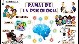 Ramas De La Psicología || Resumen - Vídeos Educativos