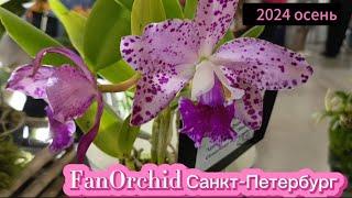 Выставка орхидей Fan orchid в Санкт-Петербурге