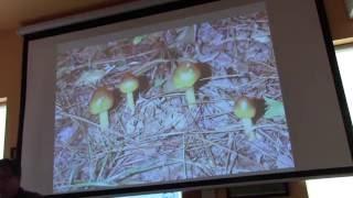 Jim Johnson- Wild Mushrooms in the Pacific Northwest