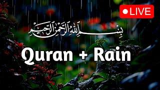 Live Best Quran Recitation with Rain | تلاوة رائعة مع صوت المطر | Last 10 Surahs.