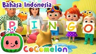 Bingo | CoComelon Bahasa Indonesia - Lagu Anak Anak