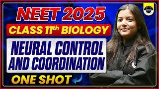 NEURAL CONTROL AND COORDINATION | CLASS 11 BIOLOGY | NEET 2025 | ADITYA ANAND PHYSICS | MEDJEEX
