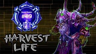 RighteousNicky - Grand Master Gul'dan - Harvest Life