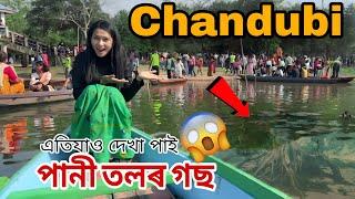 The Story of Chandubi Lake  |Ranikhamar,solokadare waterfall | Bhagyashreeborah