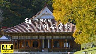 [Nagoya] Former Shizutani School | A school for the common people, the first Japanese heritage site