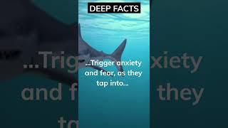 Thoughts of being eaten by shark!￼#psychology #dreamfacts #shorts